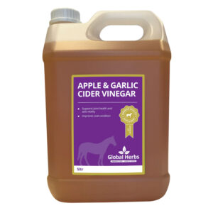 Global Herbs Apple & Garlic Cider Vinegar 5L