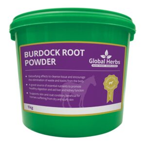 Global Herbs Burdock Root Powder 1kg