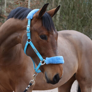 Whitaker Leyburn Headcollar & Lead Rope -HC170