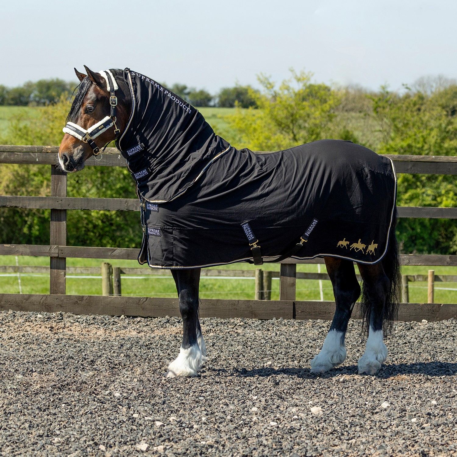 Show Sheet with Detachable Neck by Supreme Products