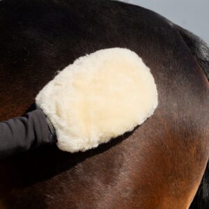 Sheepskin Perfection Grooming Mitt by Supreme Products