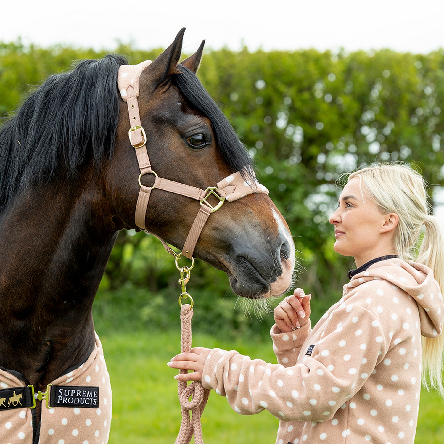 Dotty Fleece Head Collar & Lead Rope by Supreme Products