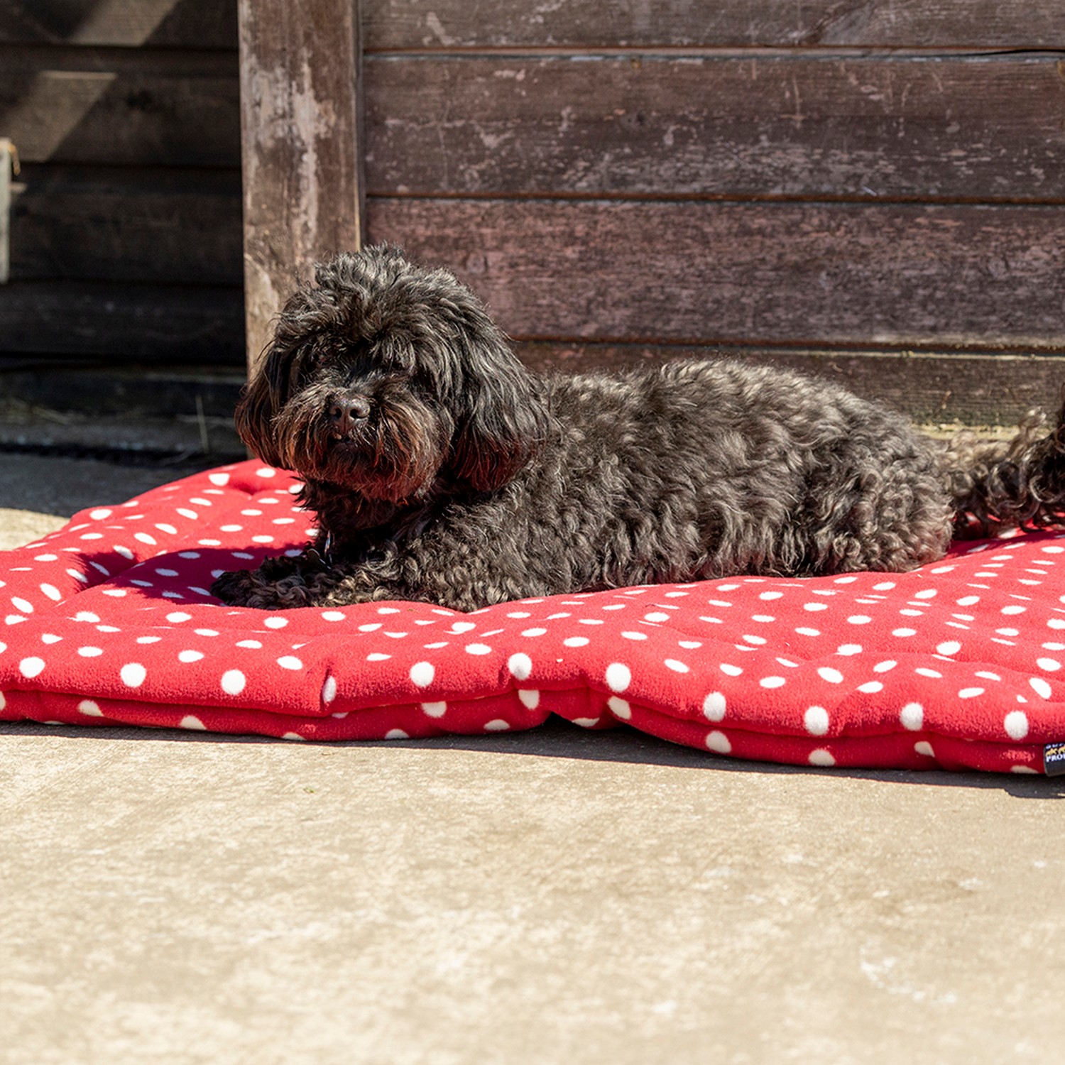 Dotty Fleece Dog Bed by Supreme Products